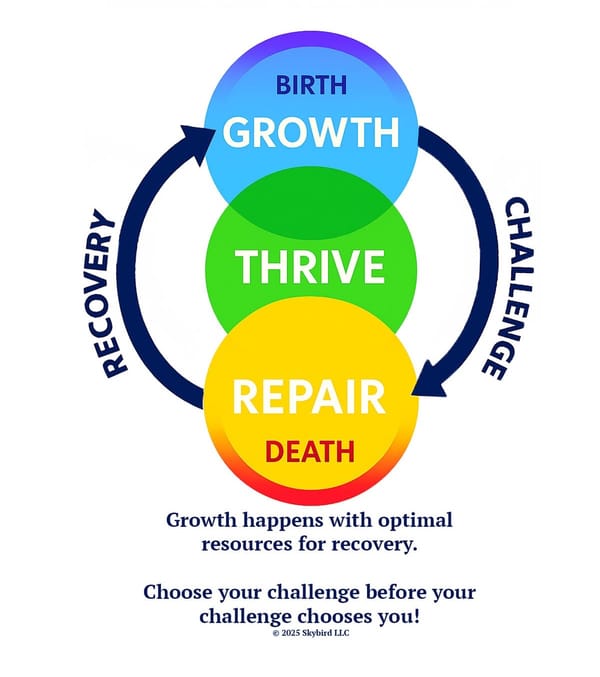 Achieve Optimum Balance